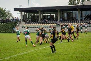 dsc03301.jpg - JPEG - 699.3 ko - 2000×1333 px