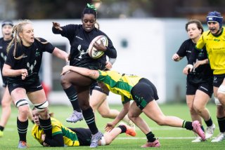 dsc_0023-10.jpg - JPEG - 364.6 ko - 2000×1334 px