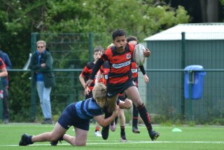 dsc_0352-3.jpg - JPEG - 225.4 ko - 2000×1325 px