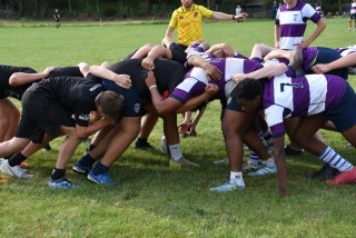 dsc_2023.jpg - JPEG - 253.5 ko - 2000×1325 px