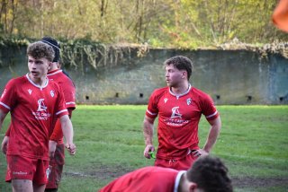 dsc_2221-3.jpg - JPEG - 347.2 ko - 2000×1325 px