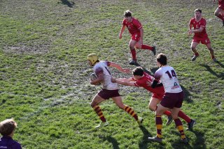 dsc_2253-3.jpg - JPEG - 218 ko - 2000×1335 px