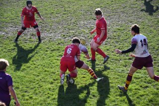 dsc_2255-2.jpg - JPEG - 230.1 ko - 2000×1325 px