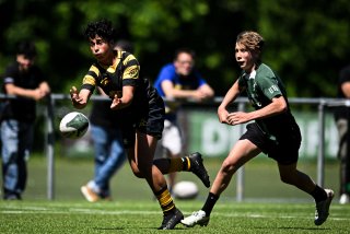 dsc_2318.jpg - JPEG - 343.2 ko - 2000×1334 px