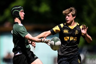 dsc_2335-3.jpg - JPEG - 284.1 ko - 1080×721 px