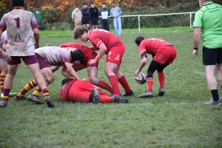 dsc_2468-7.jpg - JPEG - 253.4 ko - 2000×1325 px