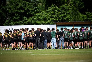 dsc_2482-5.jpg - JPEG - 465.3 ko - 2000×1325 px