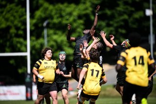 dsc_2518-2.jpg - JPEG - 299.6 ko - 1080×721 px