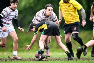 dsc_2535-4.jpg - JPEG - 361 ko - 1080×721 px