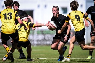 dsc_2555-4.jpg - JPEG - 410.2 ko - 2000×1334 px