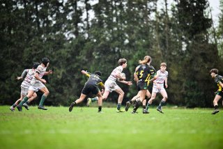 dsc_2558-4.jpg - JPEG - 274.6 ko - 2000×1325 px