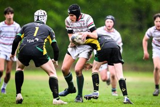 dsc_2609-4.jpg - JPEG - 266.5 ko - 2000×1325 px