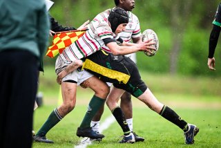 dsc_2614-2.jpg - JPEG - 213.7 ko - 2000×1335 px