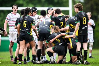 dsc_2623-4.jpg - JPEG - 180.1 ko - 2000×1333 px