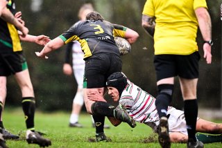 dsc_2691-2.jpg - JPEG - 164.3 ko - 2000×1325 px