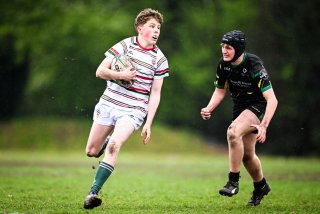 dsc_2742-2.jpg - JPEG - 235.8 ko - 2000×1325 px