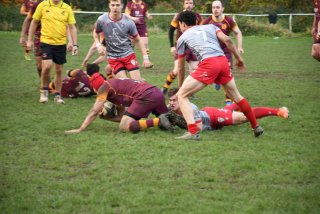 dsc_2744-2.jpg - JPEG - 385.1 ko - 2000×1333 px