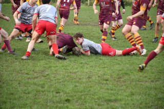 dsc_2745-2.jpg - JPEG - 481.2 ko - 2000×1333 px