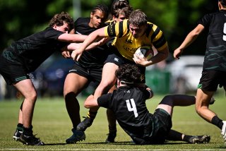 dsc_2783.jpg - JPEG - 403.2 ko - 2000×1333 px