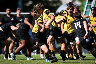 dsc_2817-4.jpg - JPEG - 340.9 ko - 2000×1325 px