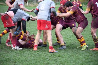 dsc_2818-4.jpg - JPEG - 546.3 ko - 2000×1333 px