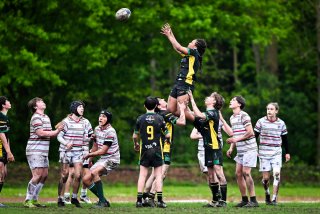 dsc_2830-3.jpg - JPEG - 269 ko - 2000×1325 px