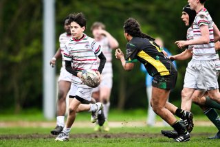 dsc_2848-2.jpg - JPEG - 239 ko - 2000×1325 px