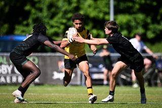 dsc_2868-3.jpg - JPEG - 88.3 ko - 1500×1000 px