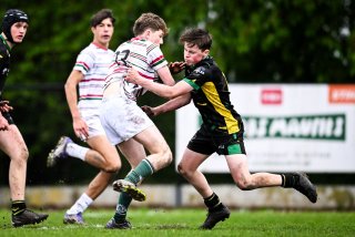 dsc_2869-3.jpg - JPEG - 196 ko - 2000×1334 px