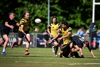 dsc_2872-2.jpg - JPEG - 404.1 ko - 2000×1333 px