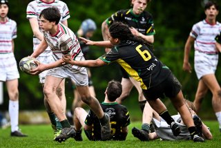 dsc_2901-3.jpg - JPEG - 144 ko - 2000×1325 px