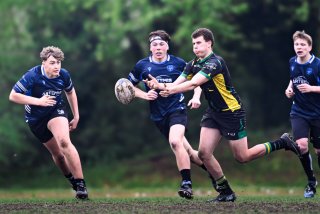 dsc_2928-3.jpg - JPEG - 160.8 ko - 2000×1333 px