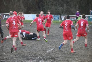 dsc_3093-4.jpg - JPEG - 481.2 ko - 2000×1333 px