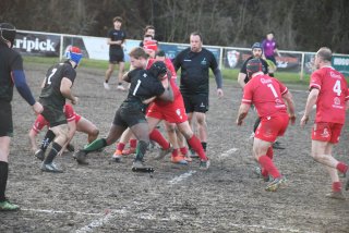 dsc_3097-4.jpg - JPEG - 418.7 ko - 2000×1333 px