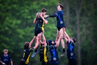 dsc_3108-6.jpg - JPEG - 305 ko - 2000×3000 px