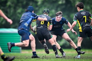 dsc_3198-4.jpg - JPEG - 540.9 ko - 2000×1325 px