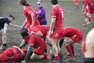 dsc_3235-3.jpg - JPEG - 404.7 ko - 2000×1333 px