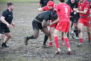 dsc_3298-2.jpg - JPEG - 519.5 ko - 2000×1333 px