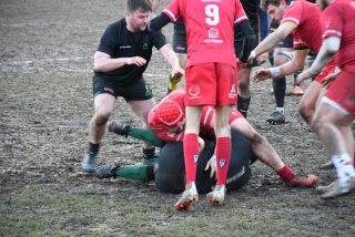 dsc_3300-3.jpg - JPEG - 495 ko - 2000×1333 px