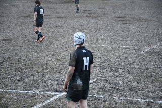 dsc_3307-7.jpg - JPEG - 177.4 ko - 2000×1333 px