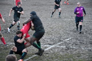 dsc_3328-3.jpg - JPEG - 463.6 ko - 2000×1333 px