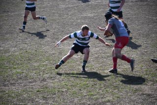 dsc_3606-3.jpg - JPEG - 645.1 ko - 2000×1333 px