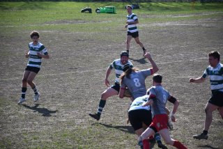 dsc_3607-4.jpg - JPEG - 660.1 ko - 2000×1333 px