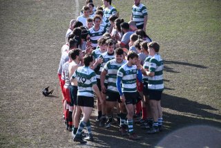 dsc_3674-7.jpg - JPEG - 722.6 ko - 2000×1333 px