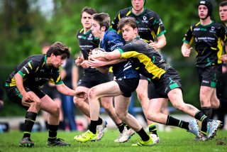 dsc_3706-3.jpg - JPEG - 287.4 ko - 2000×1325 px