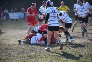 dsc_3799-2.jpg - JPEG - 747.6 ko - 2000×1325 px