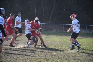 dsc_3805-2.jpg - JPEG - 138.9 ko - 2000×1335 px