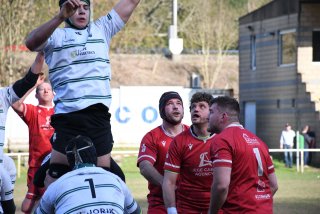 dsc_3851-3.jpg - JPEG - 361 ko - 2000×1333 px