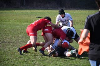 dsc_3904-2.jpg - JPEG - 557.3 ko - 2000×1325 px