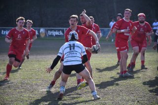 dsc_3919-2.jpg - JPEG - 459.7 ko - 2000×1333 px